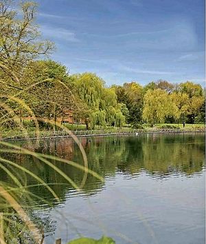 73 Roosevelt Apartments- click for photo gallery